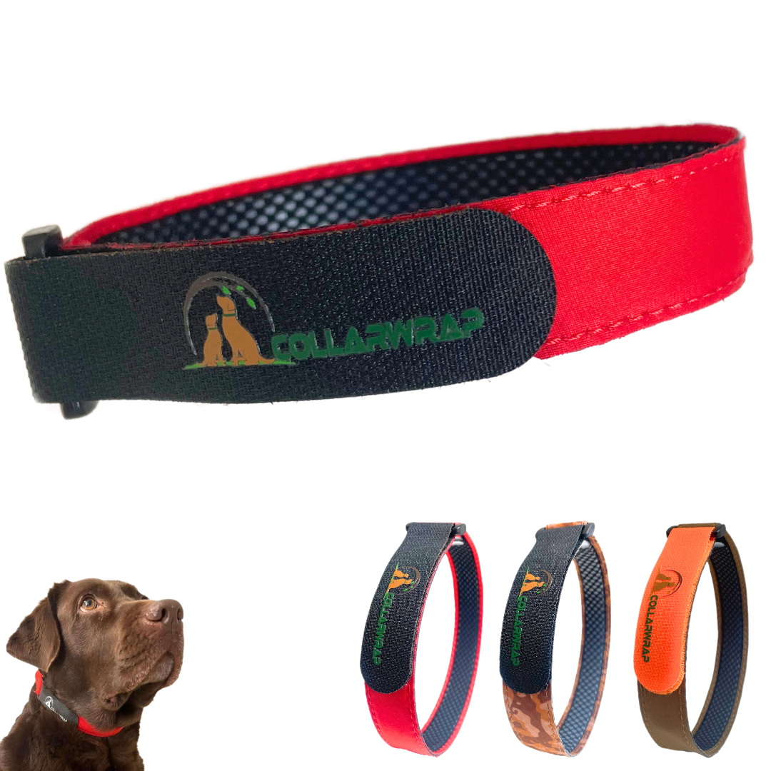 Funda Collar Aniparasitario - COLLARWRAP, , large Imagen numero 2